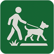 Dog Walking