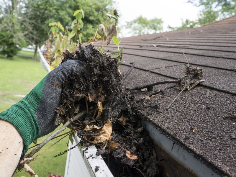 Gutter cleaning