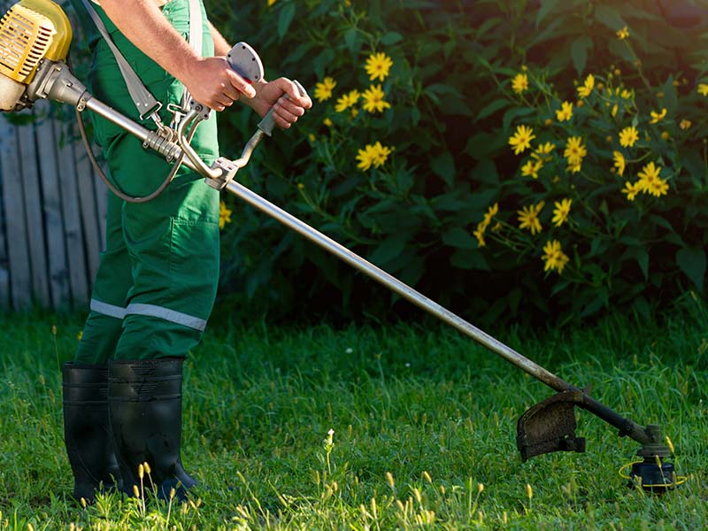 Gardening service