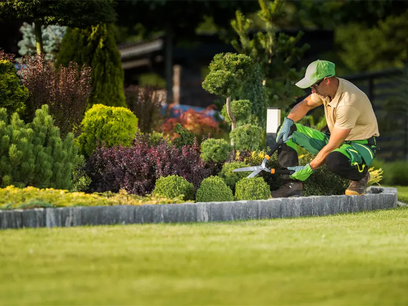 Gardening service